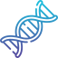 Immune, Gut, & Autoimmune